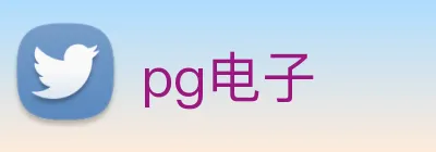 pg电子 logo